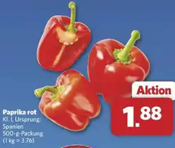 Combi Paprika rot Angebot