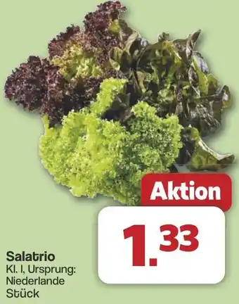 Famila Nord West Salatrio Angebot