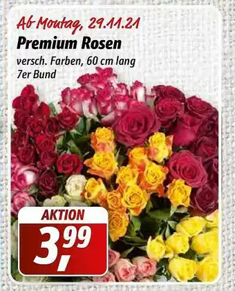 Simmel Premium Rosen Angebot