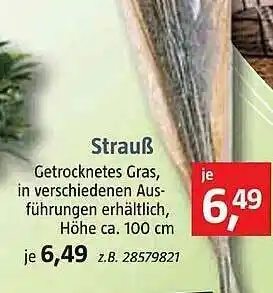 Bauhaus Strauß Angebot