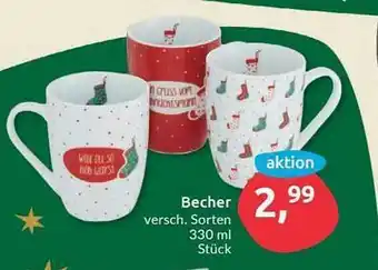 Budni Becher Angebot