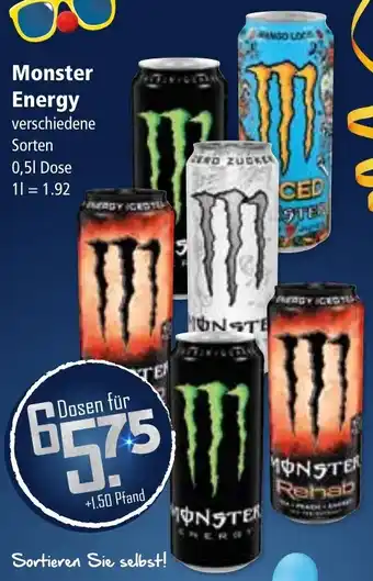 Klaas und Kock Monster Energy Angebot