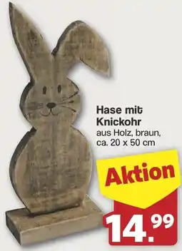 Famila Nord West Hase mit Knickohr Angebot