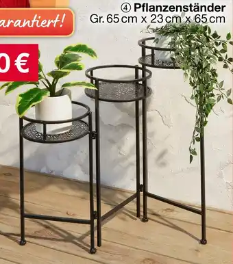 Woolworth Pflanzenständer Angebot