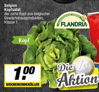 L. STROETMANN GROSSMARKT Belgien Kopfsalat Angebot