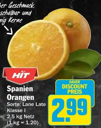 AEZ Spanien Orangen Angebot