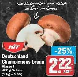 AEZ Deutschland Champignons braun Angebot