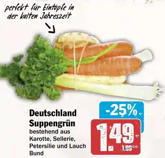 AEZ Deutschland Suppengrün Angebot