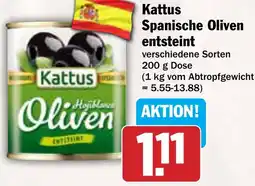 AEZ Kattus Spanische Oliven entsteint Angebot