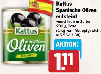 AEZ Kattus Spanische Oliven entsteint Angebot