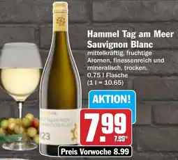 AEZ Hammel Tag am Meer Sauvignon Blanc Angebot