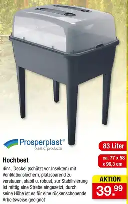 Zimmermann Prosperplast Hochbeet Angebot