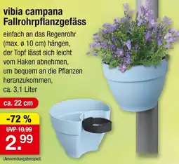 Zimmermann vibia campana Fallrohrpflanzgefäss Angebot