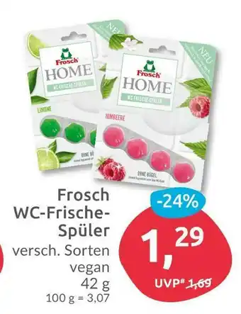 Budni Frosch wc-frische-spüler Angebot