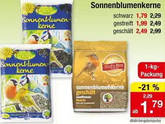 Zimmermann Bird's Garden Sonnenblumenkerne Angebot