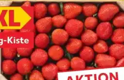 Kaufland Erdbeeren XXL Angebot