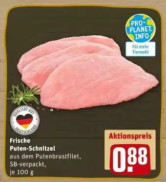 REWE Frische puten-schnitzel Angebot