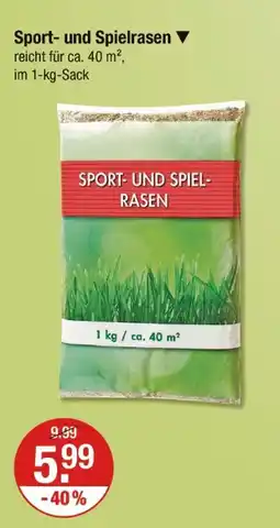 V Markt Sport- und spielrasen Angebot