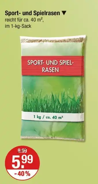 V Markt Sport- und spielrasen Angebot