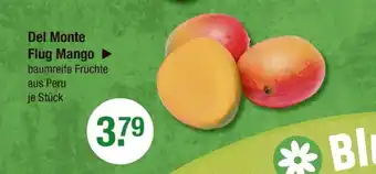 V Markt Del monte flug mango Angebot