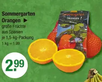 V Markt Sommergarten orangen Angebot