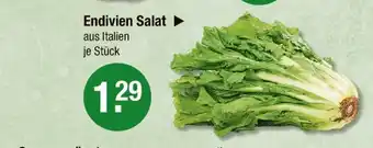 V Markt Endivien salat Angebot