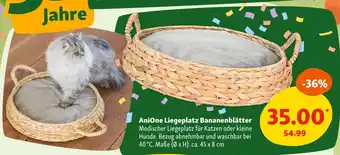 Fressnapf Anione liegeplatz bananenblätter Angebot