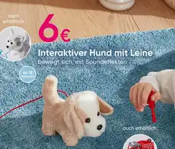 PEPCO Interaktiver hund mit leine Angebot