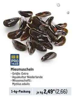 METRO Miesmuscheln Angebot