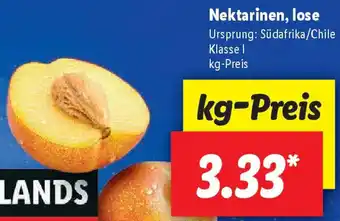 Lidl Nektarinen, lose Angebot