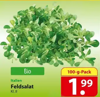 Famila Nord Ost Feldsalat Angebot