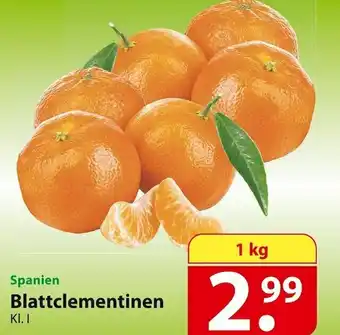 Famila Nord Ost Blattclementinen Angebot