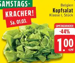 Edeka Belgien Kopfsalat Angebot