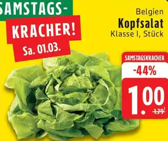 Edeka Belgien Kopfsalat Angebot