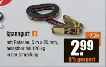 V Baumarkt Spanngurt Angebot