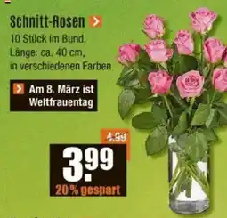 V Baumarkt Schnitt-Rosen Angebot