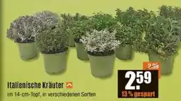 V Baumarkt Italienische Kräuter Angebot