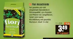 V Baumarkt Fiori Anzuchterde Angebot