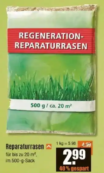 V Baumarkt Reparaturrasen Angebot