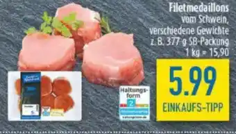 diska Filetmedaillons Angebot