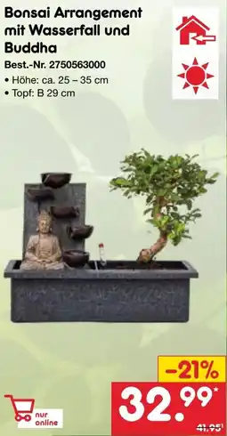 Netto Marken-Discount Bonsai Arrangement mit Wasserfall und Buddha Angebot