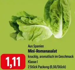 Feneberg Mini-Romanasalat Angebot