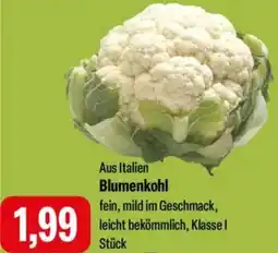 Feneberg Blumenkohl Angebot