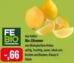 Feneberg Bio-Zitronen Angebot