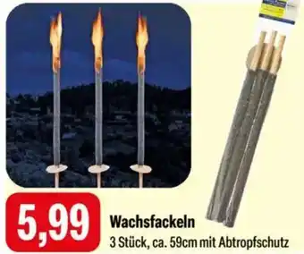 Feneberg Wachsfackeln Angebot