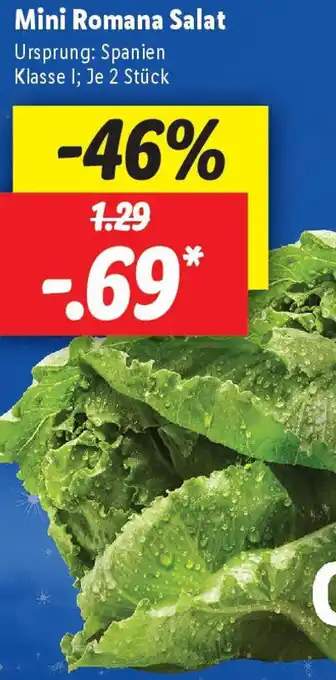 Lidl Mini Romana Salat Angebot