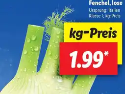 Lidl Fenchel, lose Angebot