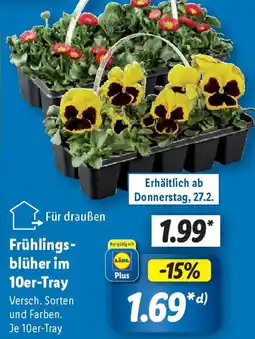 Lidl Frühlingsblüher im 10er-Tray Angebot