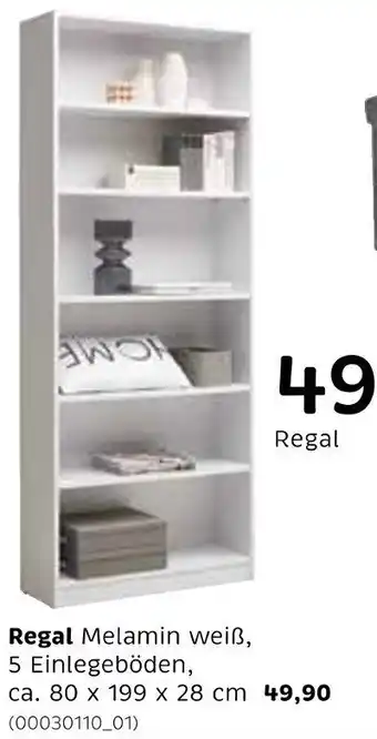 XXXLutz Regal Angebot