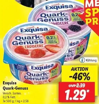 Lidl Exquisa Quark-Genuss Angebot